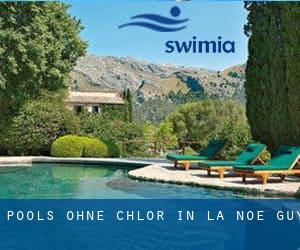 Pools-ohne-chlor in La Noe Guy