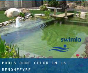 Pools-ohne-chlor in La Renonfeyre