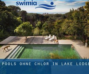 Pools-ohne-chlor in Lake Lodge