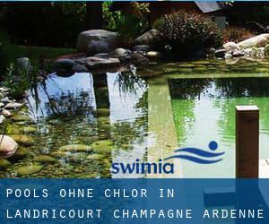 Pools-ohne-chlor in Landricourt (Champagne-Ardenne)