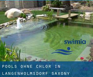 Pools-ohne-chlor in Langenwolmsdorf (Saxony)