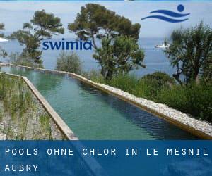 Pools-ohne-chlor in Le Mesnil-Aubry