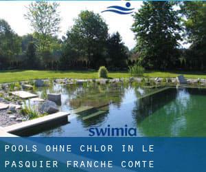 Pools-ohne-chlor in Le Pasquier (Franche-Comté)