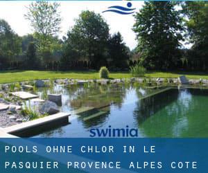 Pools-ohne-chlor in Le Pasquier (Provence-Alpes-Côte d'Azur)