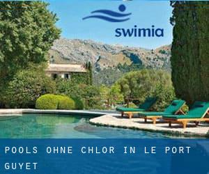 Pools-ohne-chlor in Le Port Guyet