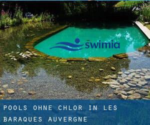 Pools-ohne-chlor in Les Baraques (Auvergne)