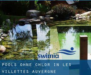 Pools-ohne-chlor in Les Villettes (Auvergne)