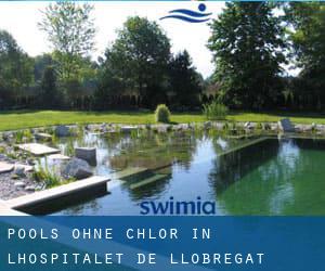 Pools-ohne-chlor in L'Hospitalet de Llobregat