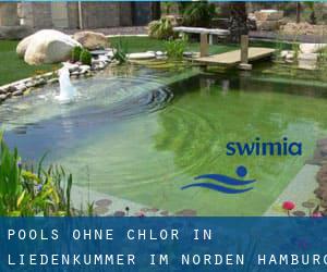 Pools-ohne-chlor in Liedenkummer im Norden (Hamburg)