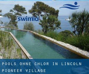 Pools-ohne-chlor in Lincoln Pioneer Village