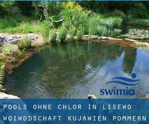 Pools-ohne-chlor in Lisewo (Woiwodschaft Kujawien-Pommern)