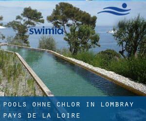 Pools-ohne-chlor in Lombray (Pays de la Loire)