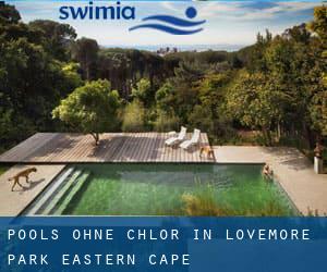 Pools-ohne-chlor in Lovemore Park (Eastern Cape)