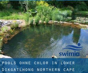 Pools-ohne-chlor in Lower Dikgatlhong (Northern Cape)