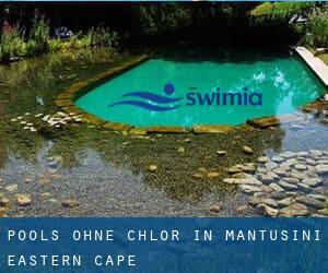 Pools-ohne-chlor in Mantusini (Eastern Cape)