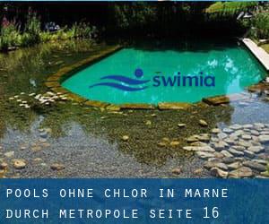 Pools-ohne-chlor in Marne durch Metropole - Seite 16