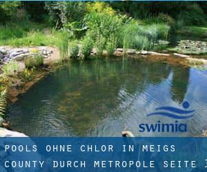 Pools-ohne-chlor in Meigs County durch Metropole - Seite 1