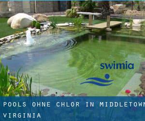 Pools-ohne-chlor in Middletown (Virginia)