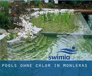 Pools-ohne-chlor in Monleras