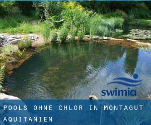 Pools-ohne-chlor in Montagut (Aquitanien)