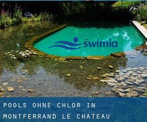 Pools-ohne-chlor in Montferrand-le-Château