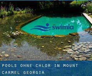 Pools-ohne-chlor in Mount Carmel (Georgia)