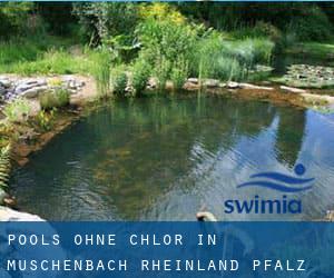 Pools-ohne-chlor in Müschenbach (Rheinland-Pfalz)