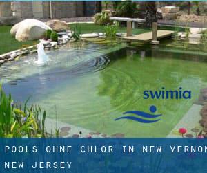 Pools-ohne-chlor in New Vernon (New Jersey)