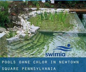 Pools-ohne-chlor in Newtown Square (Pennsylvania)