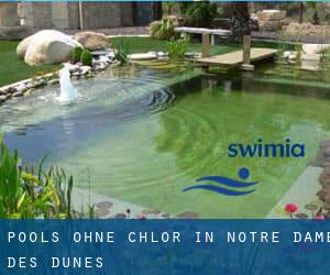 Pools-ohne-chlor in Notre-Dame-des-Dunes