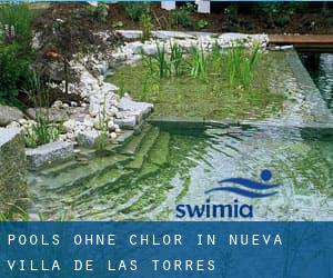 Pools-ohne-chlor in Nueva Villa de las Torres