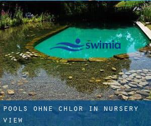 Pools-ohne-chlor in Nursery View