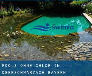 Pools-ohne-chlor in Oberschwarzach (Bayern)