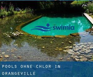 Pools-ohne-chlor in Orangeville