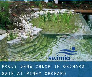 Pools-ohne-chlor in Orchard Gate at Piney Orchard