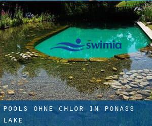 Pools-ohne-chlor in Ponass Lake