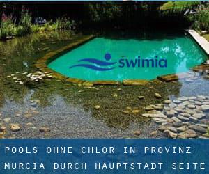 Pools-ohne-chlor in Provinz Murcia durch Hauptstadt - Seite 1