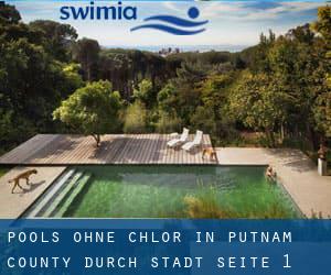 Pools-ohne-chlor in Putnam County durch Stadt - Seite 1