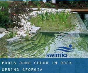 Pools-ohne-chlor in Rock Spring (Georgia)