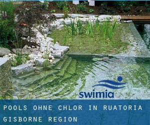 Pools-ohne-chlor in Ruatoria (Gisborne Region)