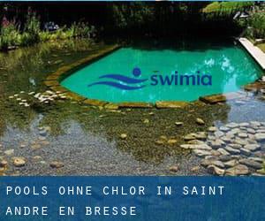 Pools-ohne-chlor in Saint-André-en-Bresse