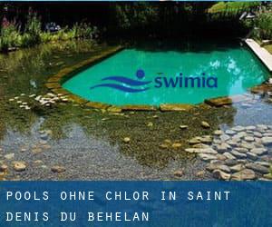 Pools-ohne-chlor in Saint-Denis-du-Béhélan