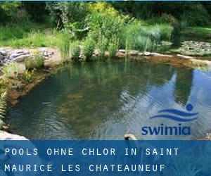 Pools-ohne-chlor in Saint-Maurice-lès-Châteauneuf