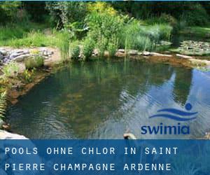 Pools-ohne-chlor in Saint-Pierre (Champagne-Ardenne)