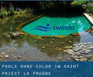 Pools-ohne-chlor in Saint-Priest-la-Prugne