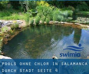 Pools-ohne-chlor in Salamanca durch Stadt - Seite 4