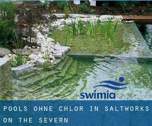 Pools-ohne-chlor in Saltworks on the Severn