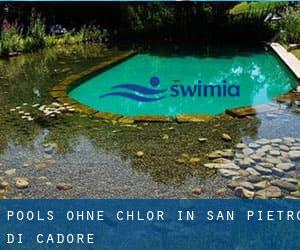 Pools-ohne-chlor in San Pietro di Cadore