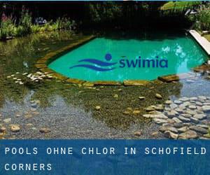 Pools-ohne-chlor in Schofield Corners