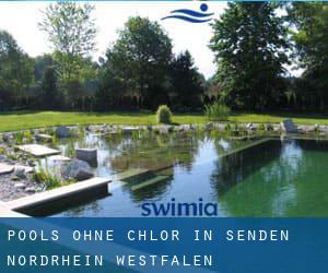 Pools-ohne-chlor in Senden (Nordrhein-Westfalen)